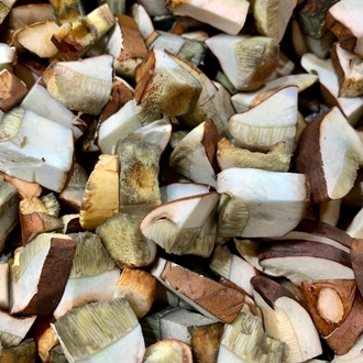 Sliced porcini mushroom