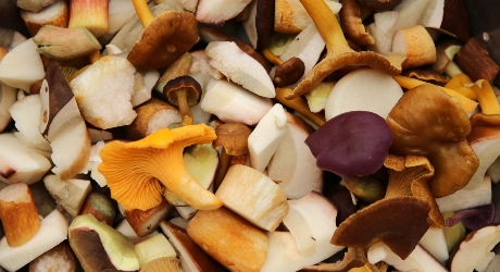 Грибные смеси