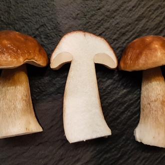 Замороженные белые грибы половинки HoReCa оптом