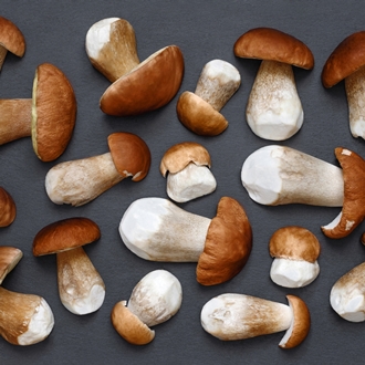 Замороженные белые грибы целые HoReCa оптом