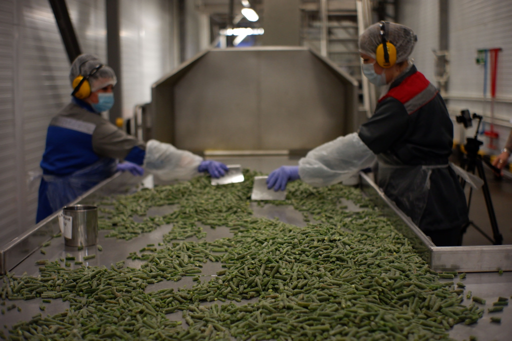 Разрушаются ли витамины при заморозке ягод и овощей