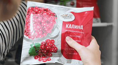 Замороженная калина: чем полезна и как применяется